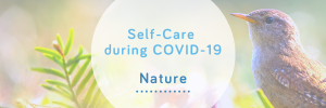 Blog Self-Care Nature Wellspring Therapy