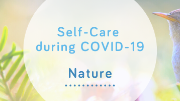 Blog Self-Care Nature Wellspring Therapy