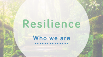 Resilience- Who we are - Wellspring Therapy & Training