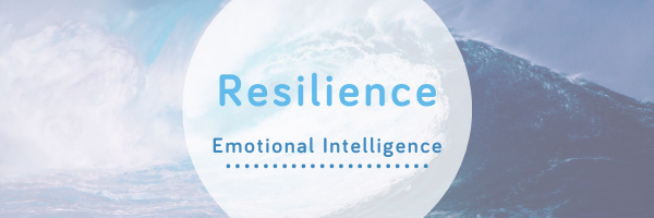 Resilience- Emotional Intelligence - Wellspring Therapy & Training