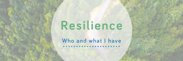 Resilience- external factors - Wellspring Therapy & Training