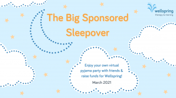The Big Sponsored Sleep Over for Wellspring - mental health